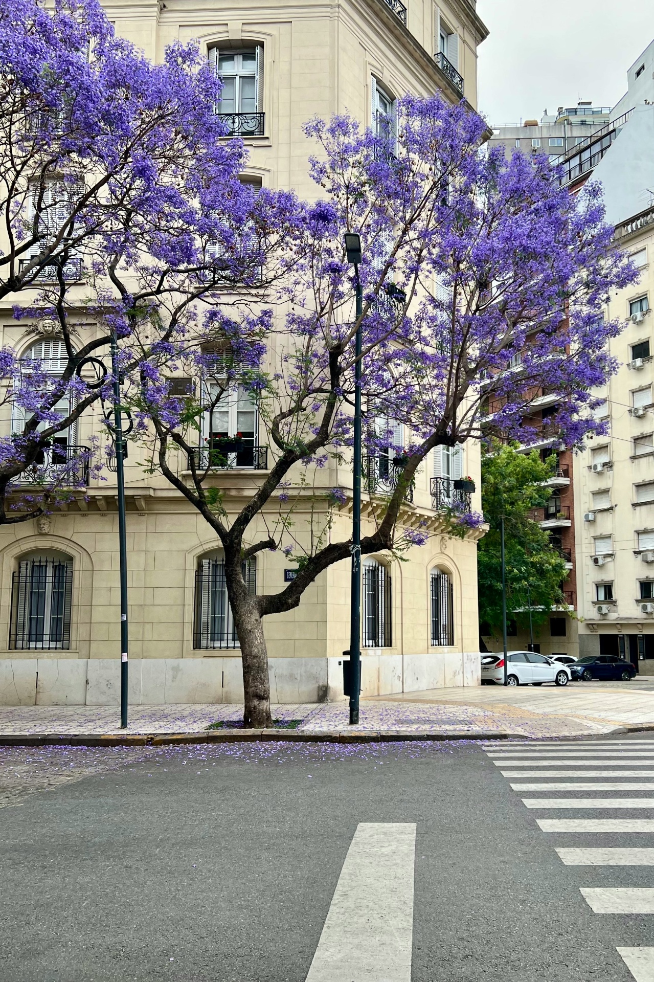Argentina Citizenship by Investment Launch Date: A Q4 2026 Market Analysis